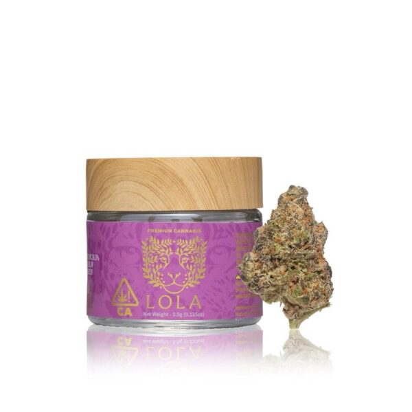 Lola Premium Indoor Flower